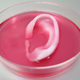 Credit: Wake Forest Institute for Regenerative Medicine